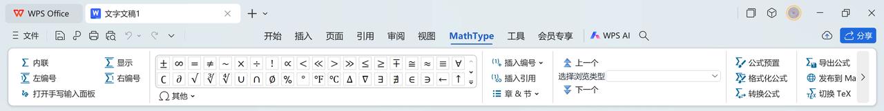 Select OMML Formula Type